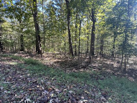0 Tobaccoport Road Bumpus Mills TN 37028
