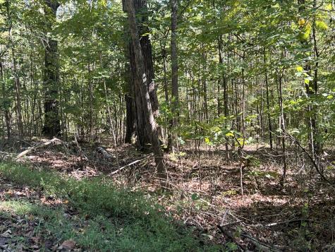 0 Tobaccoport Road Bumpus Mills TN 37028