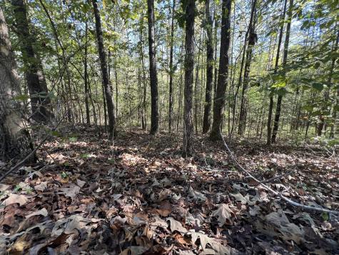 0 Tobaccoport Road Bumpus Mills TN 37028