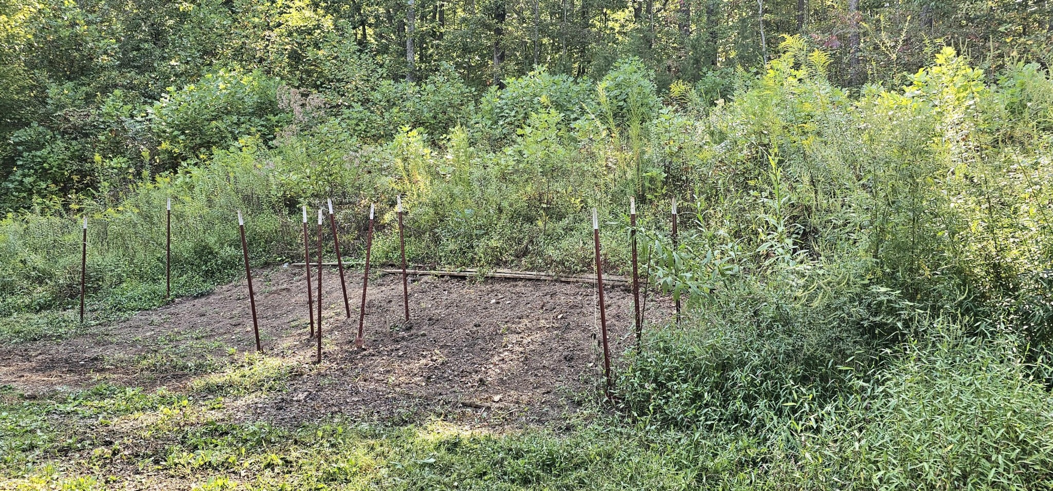 170 Robert Smith Road Tellico Plains TN 37385