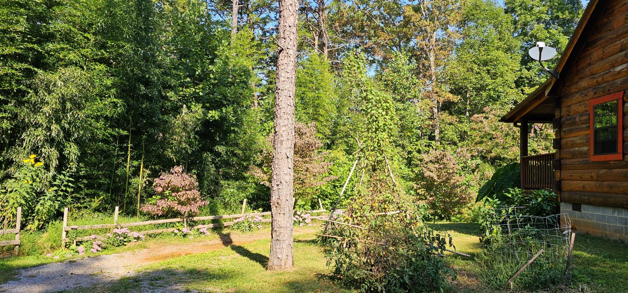 170 Robert Smith Road Tellico Plains TN 37385