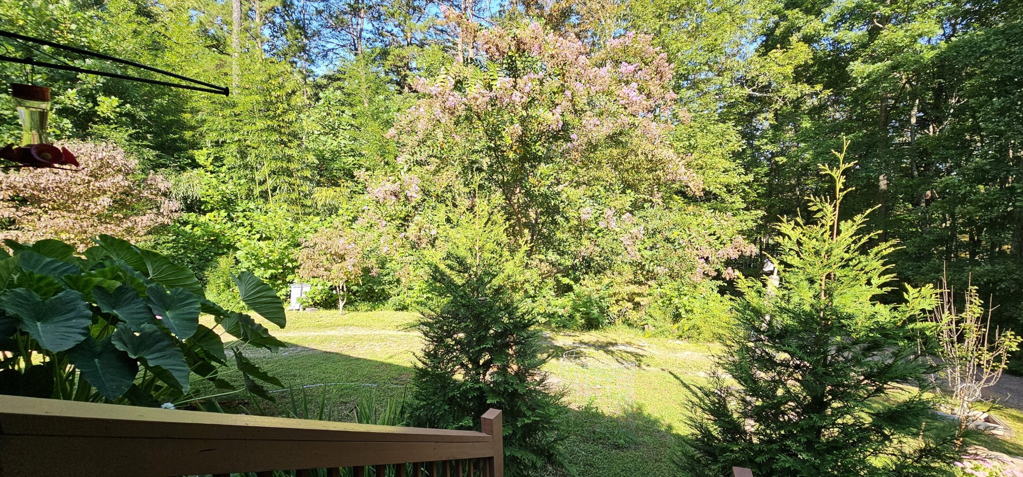 170 Robert Smith Road Tellico Plains TN 37385