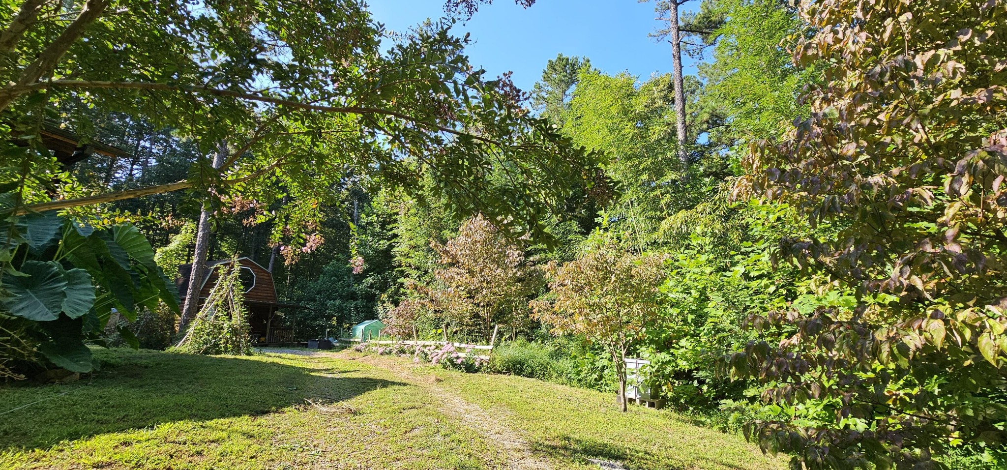 170 Robert Smith Road Tellico Plains TN 37385