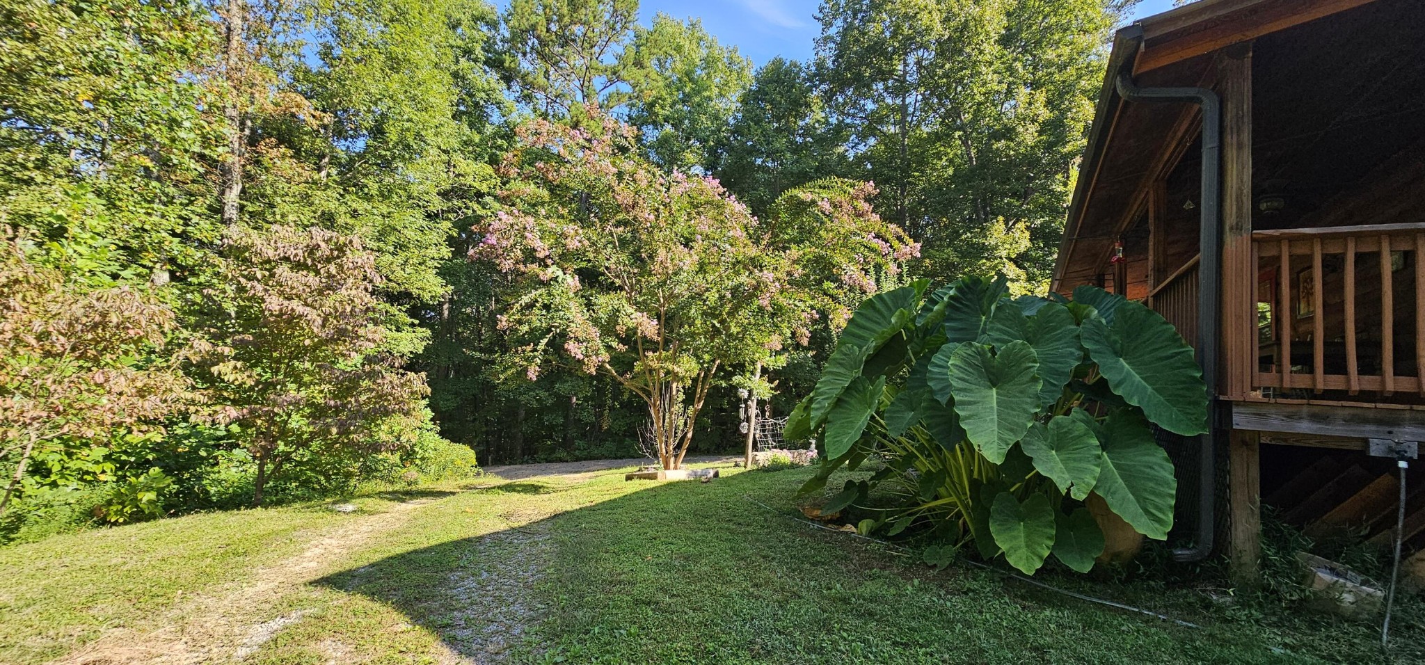 170 Robert Smith Road Tellico Plains TN 37385