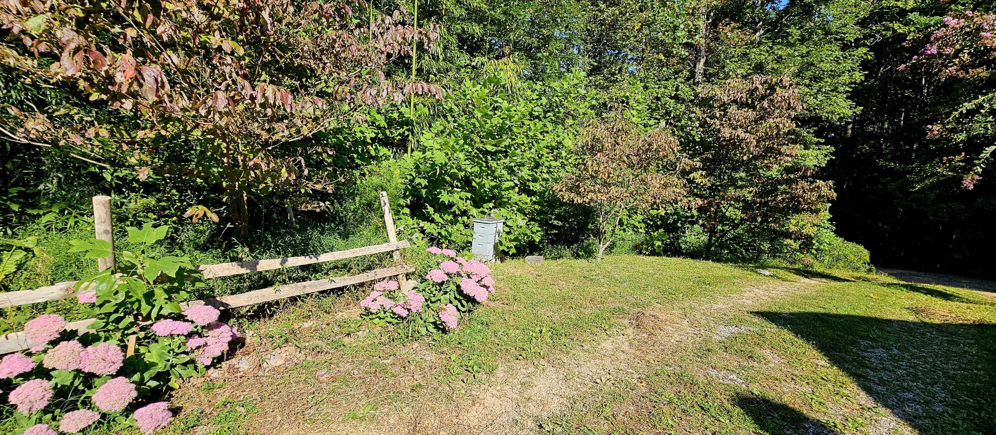 170 Robert Smith Road Tellico Plains TN 37385