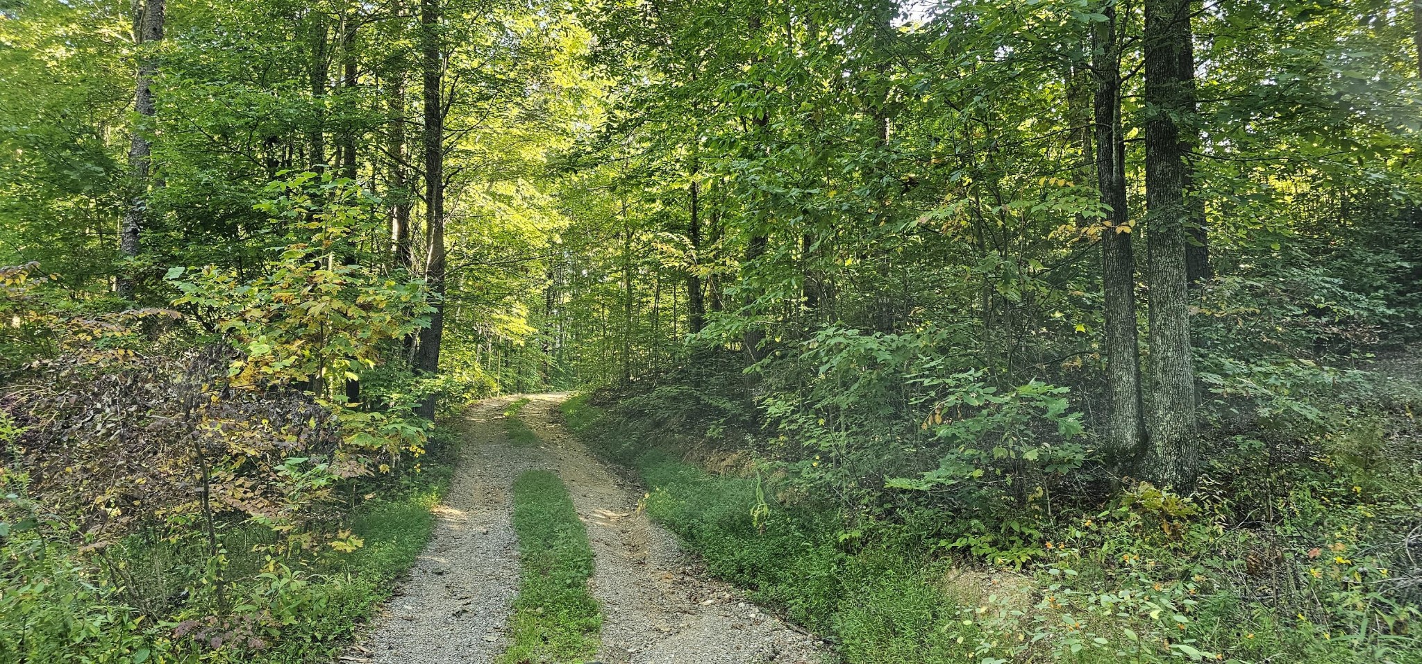 170 Robert Smith Road Tellico Plains TN 37385