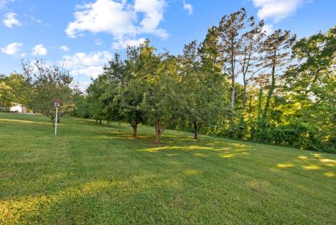 1204 Bobs Lane Mount Pleasant TN 38474
