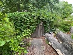 36 W End Avenue Mc Kenzie TN 38201