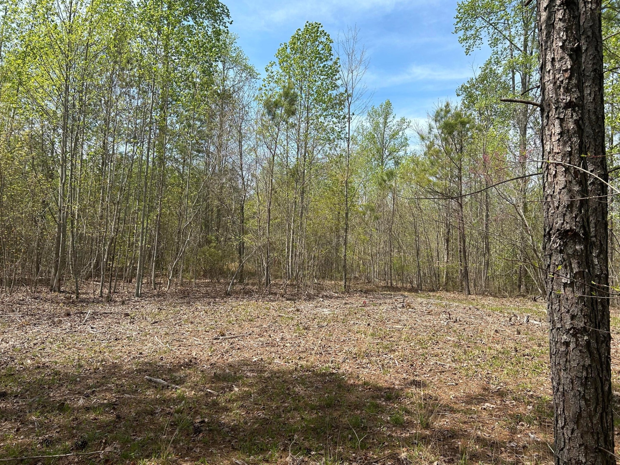 6390 Raulston Falls Road Jasper TN 37347