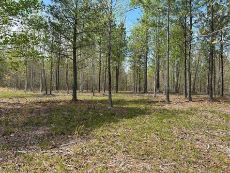 6390 Raulston Falls Road Jasper TN 37347
