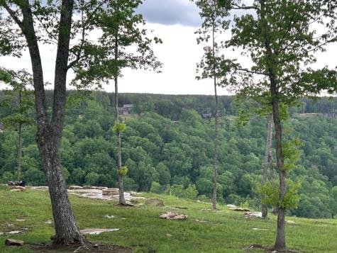 6390 Raulston Falls Road Jasper TN 37347