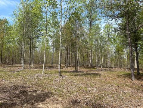 6390 Raulston Falls Road Jasper TN 37347