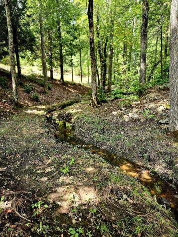 136 Winding Creek Way Altamont TN 37301