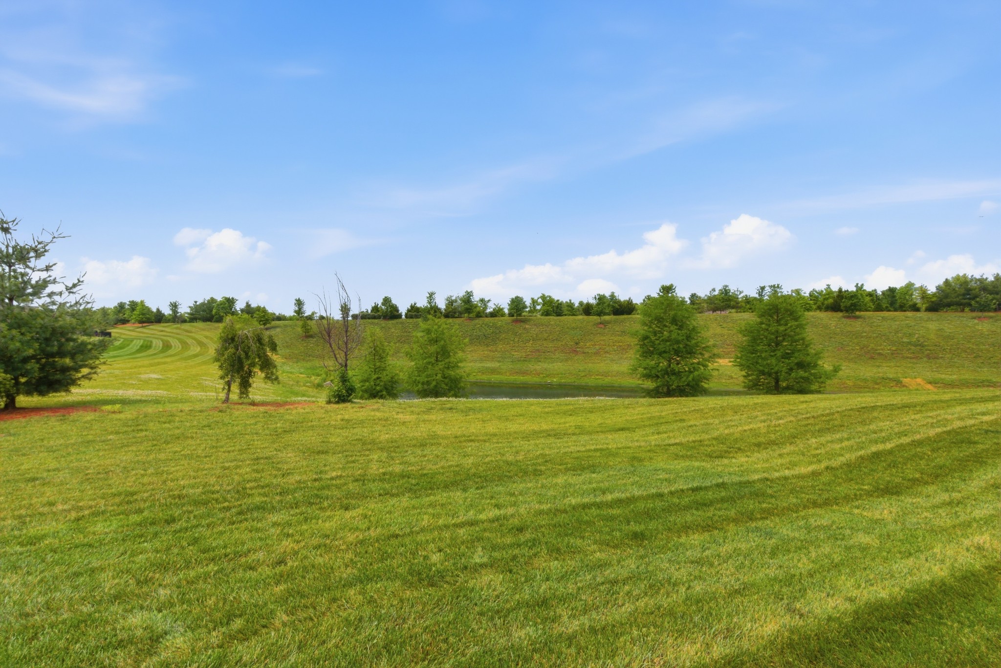 2321 Lawrence Ridge Spring Hill TN 37174