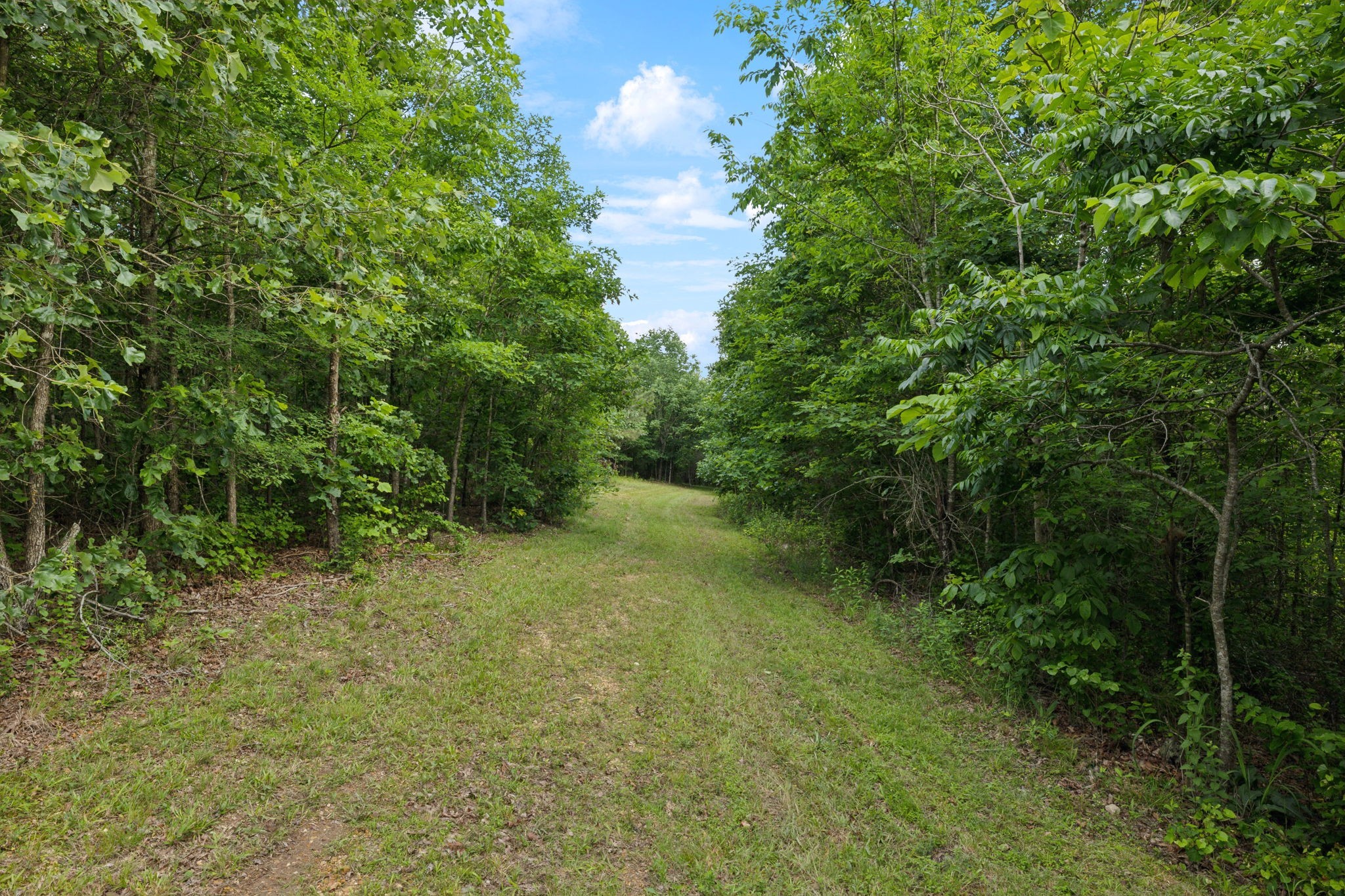 1635 Bear Hollow Drive Waverly TN 37185