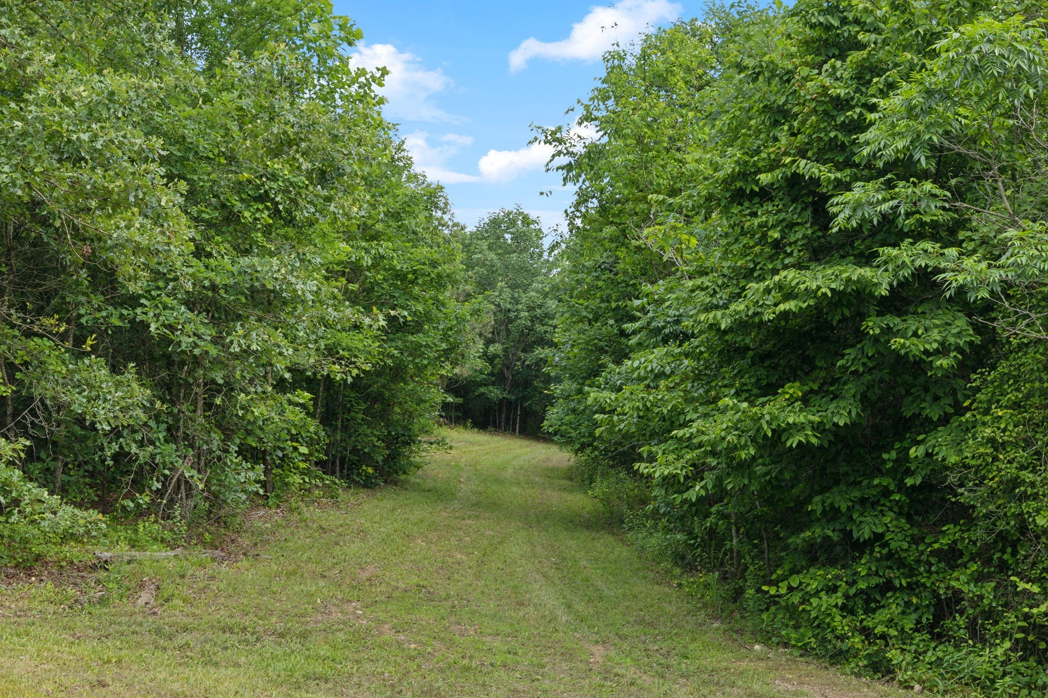 1635 Bear Hollow Drive Waverly TN 37185