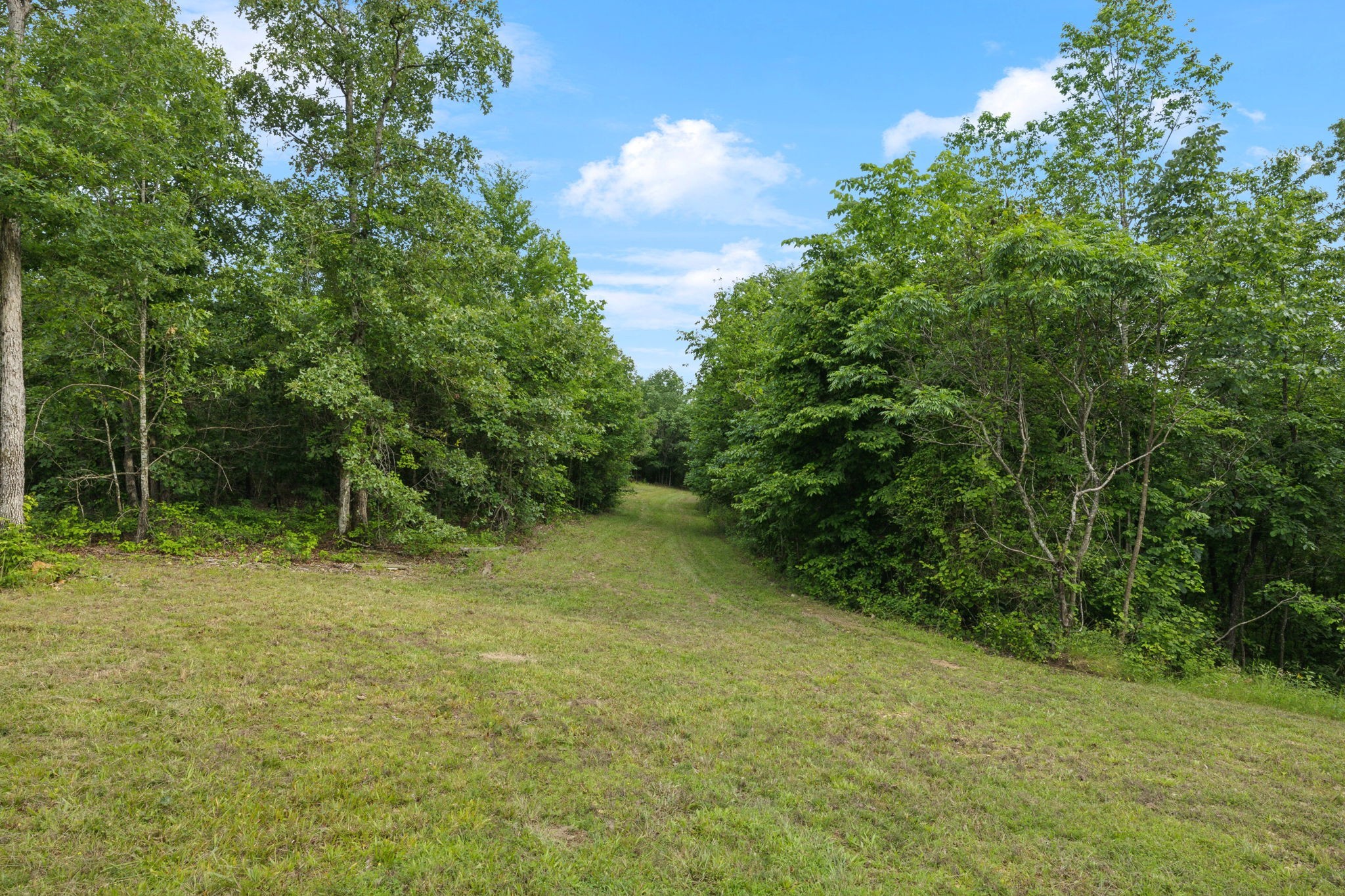 1635 Bear Hollow Drive Waverly TN 37185