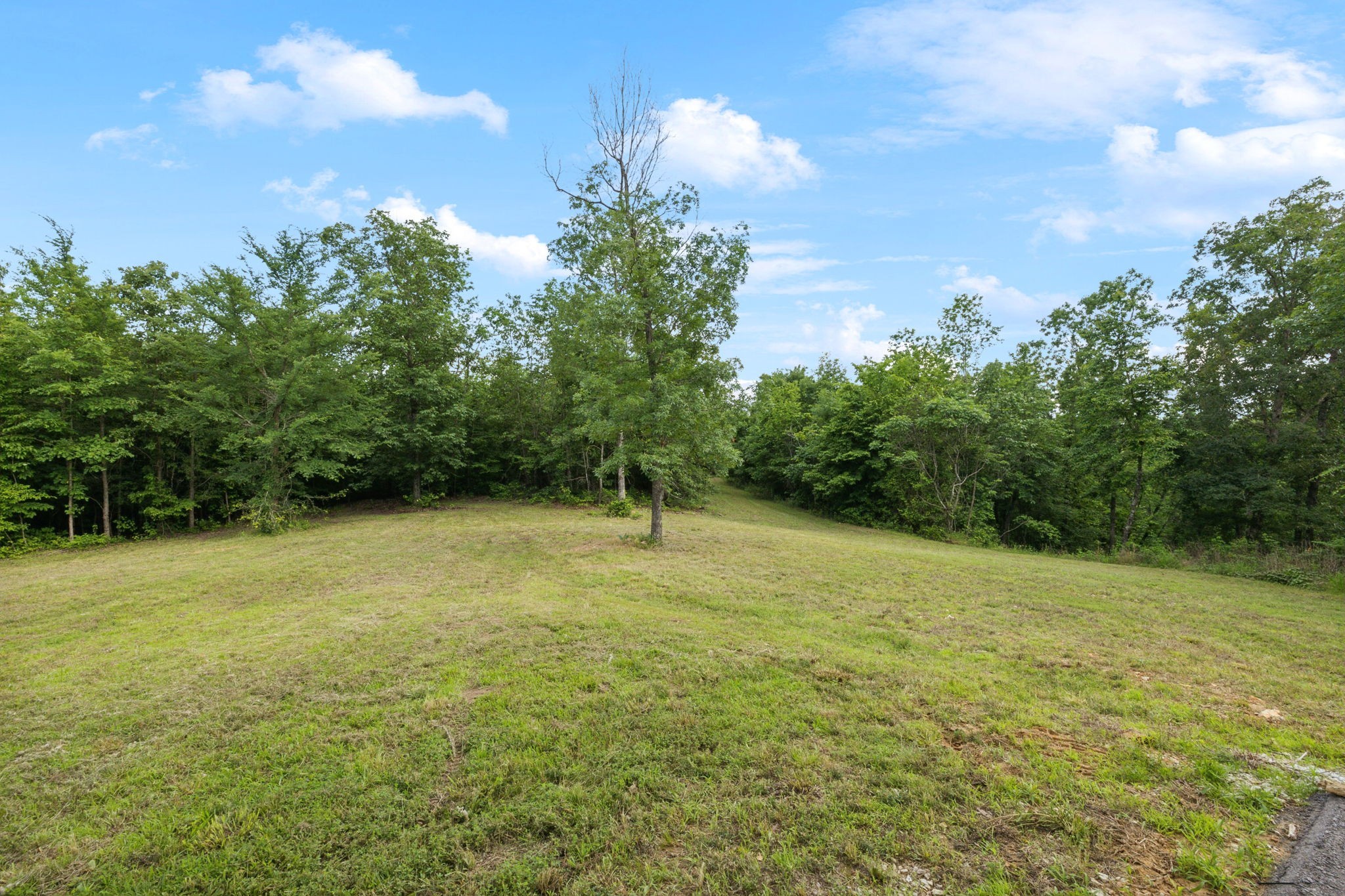 1635 Bear Hollow Drive Waverly TN 37185
