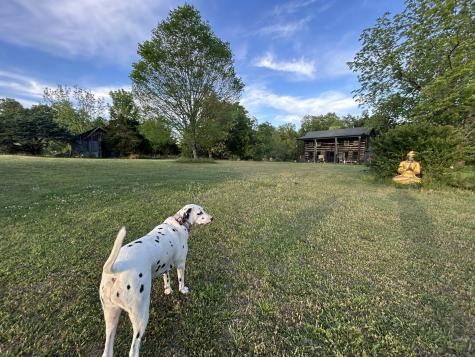 7139 Kingston Road Fairview TN 37062