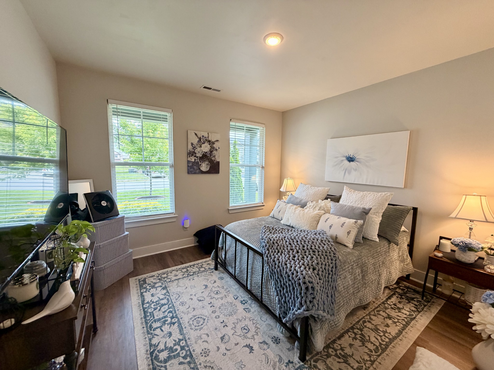 213 Snapdragon Drive Smyrna TN 37167