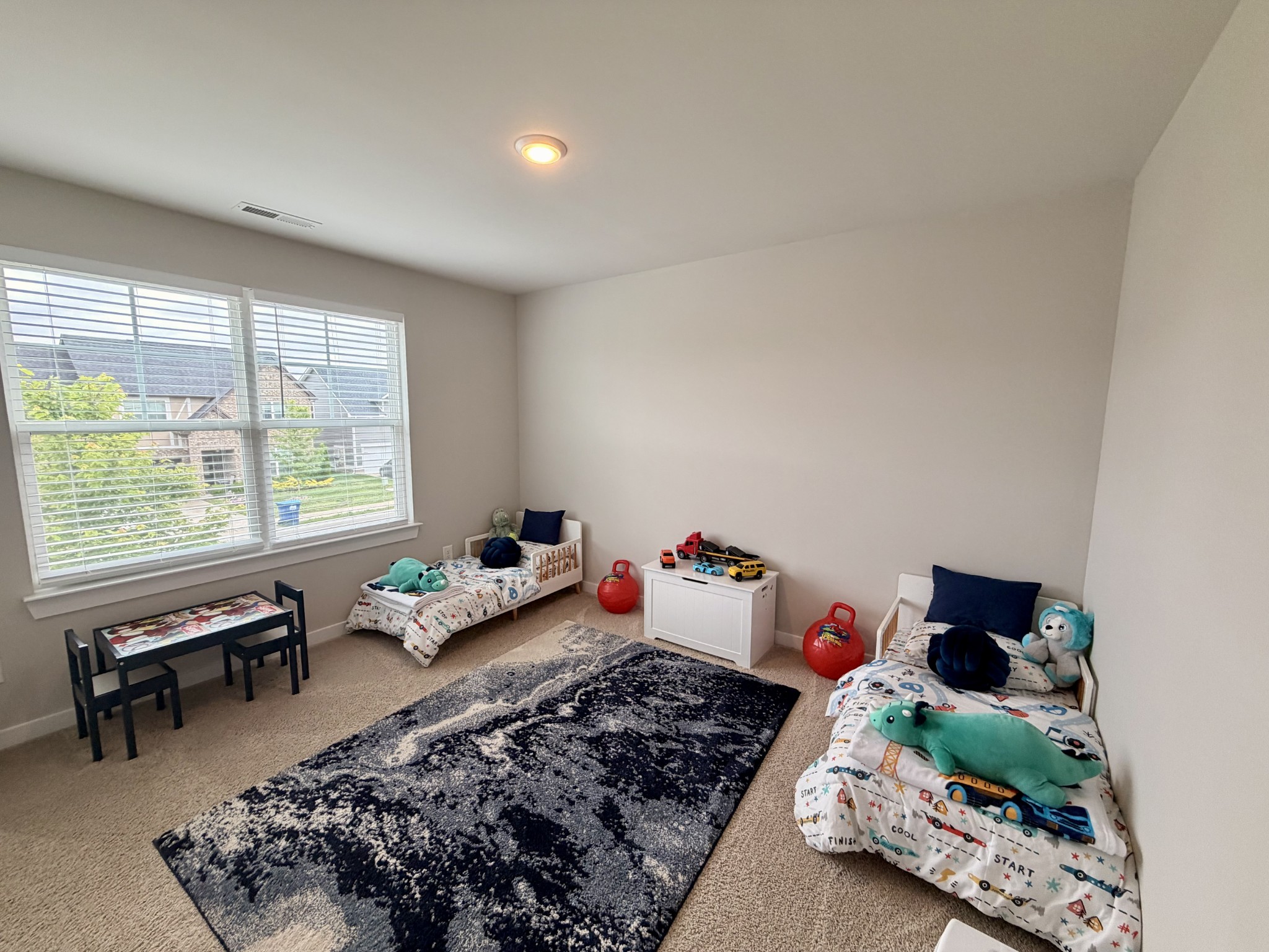 213 Snapdragon Drive Smyrna TN 37167