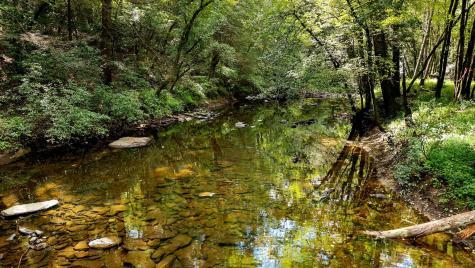 54 Creekview Lane Altamont TN 37301