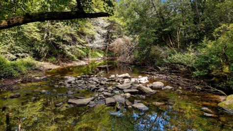 54 Creekview Lane Altamont TN 37301