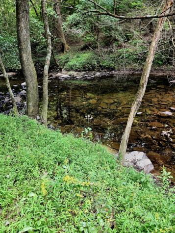 54 Creekview Lane Altamont TN 37301