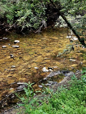 54 Creekview Lane Altamont TN 37301