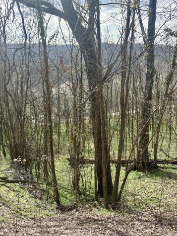 323 Seaton Drive Smithville TN 37166