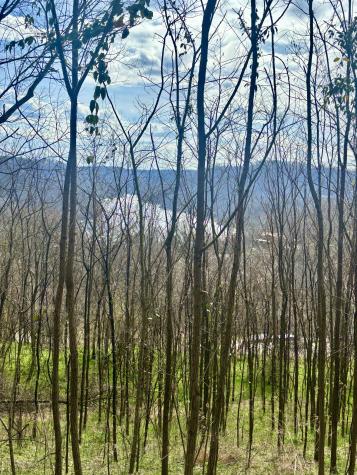 323 Seaton Drive Smithville TN 37166