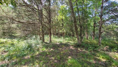 0 Murray Kittrell Road Readyville TN 37149