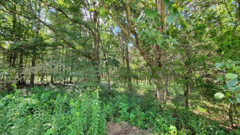 0 Murray Kittrell Road Readyville TN 37149