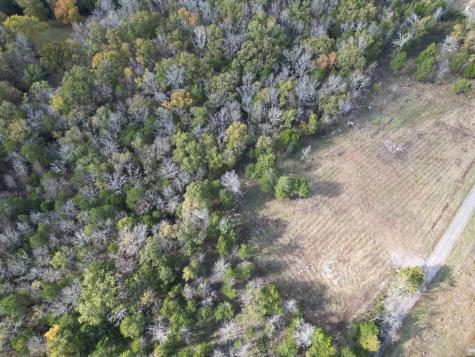 1 Rocky Glade Road Eagleville TN 37060