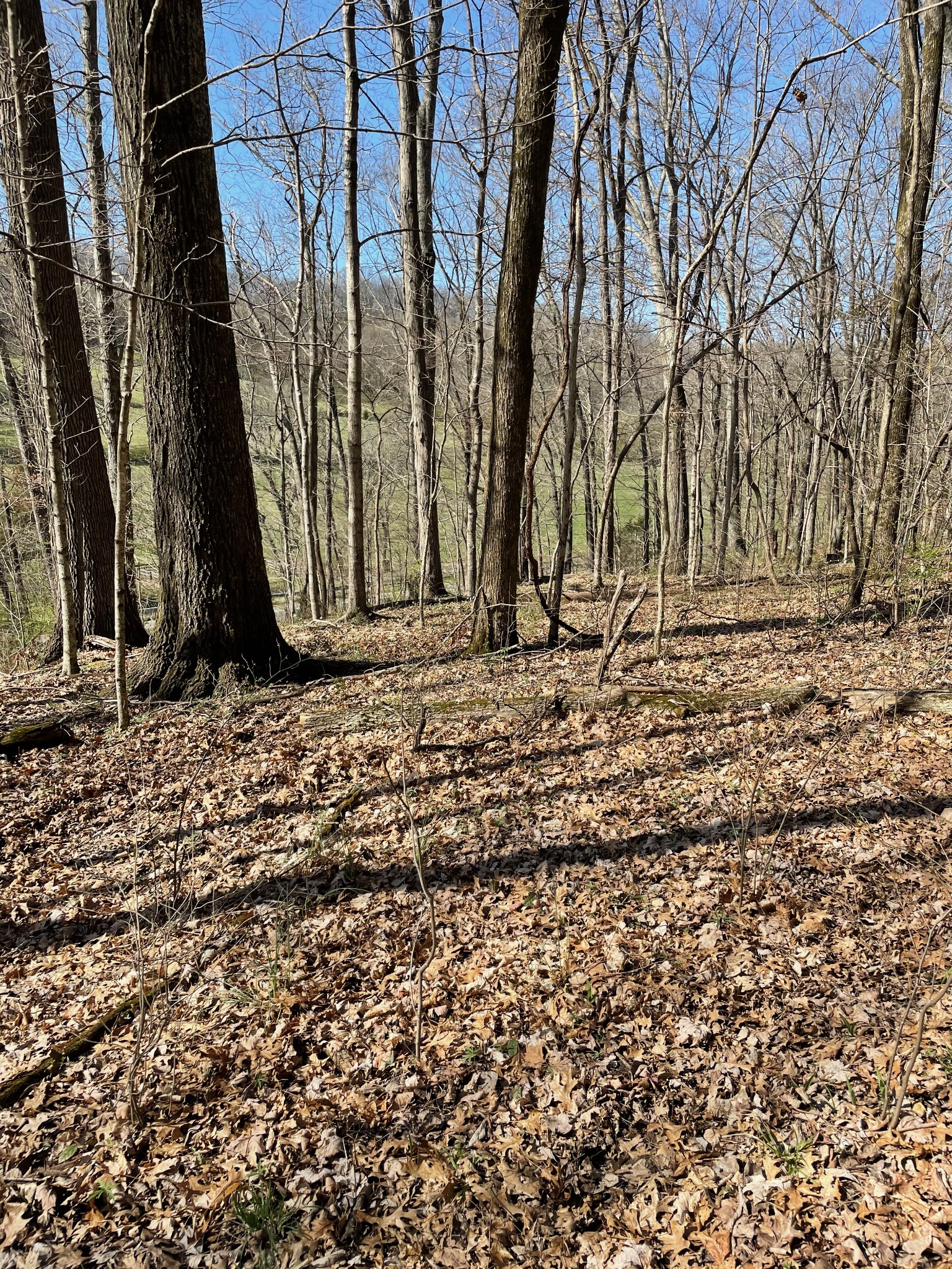2057 Hillsboro Franklin TN 37069