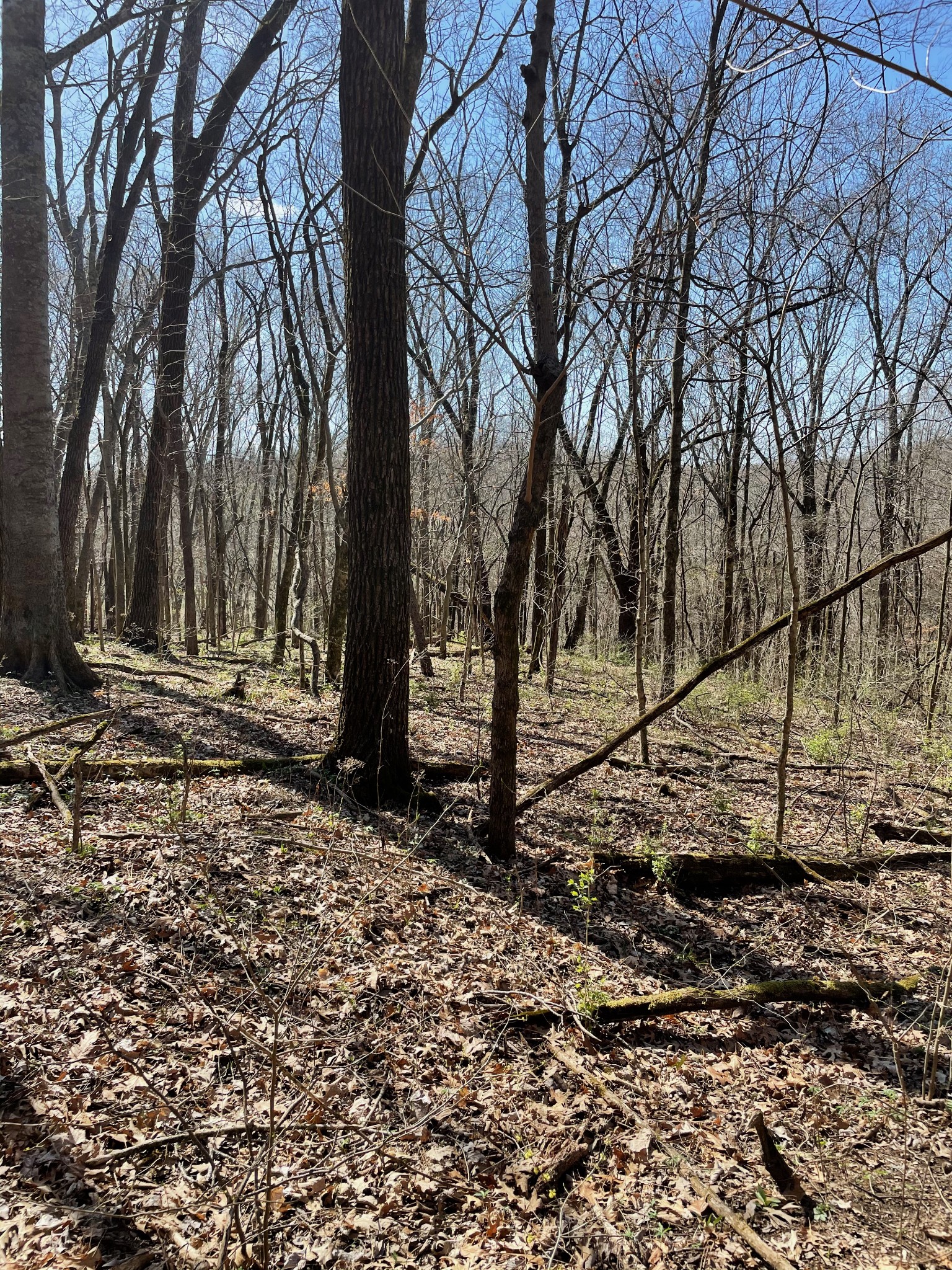 2057 Hillsboro Franklin TN 37069