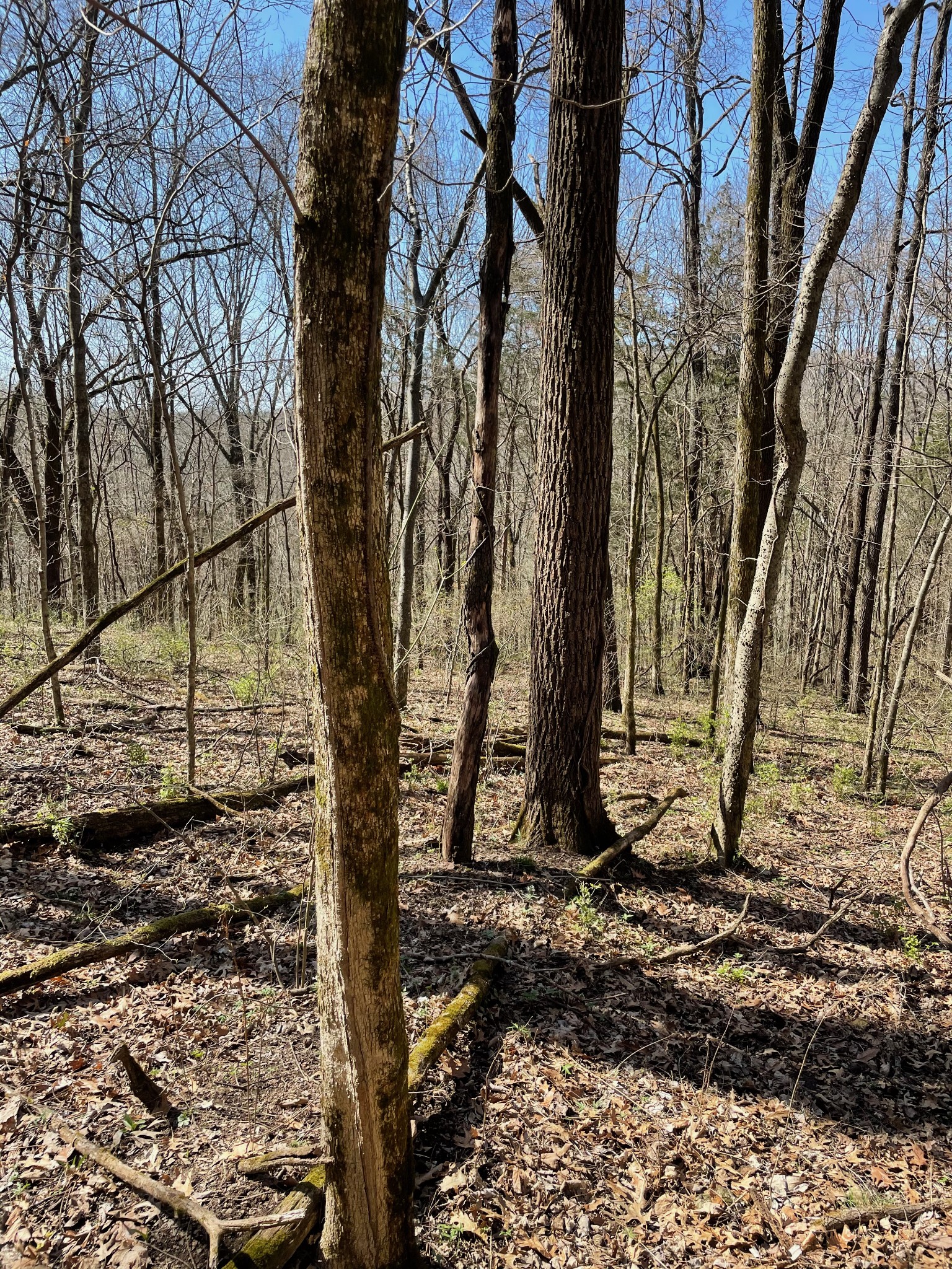 2057 Hillsboro Franklin TN 37069