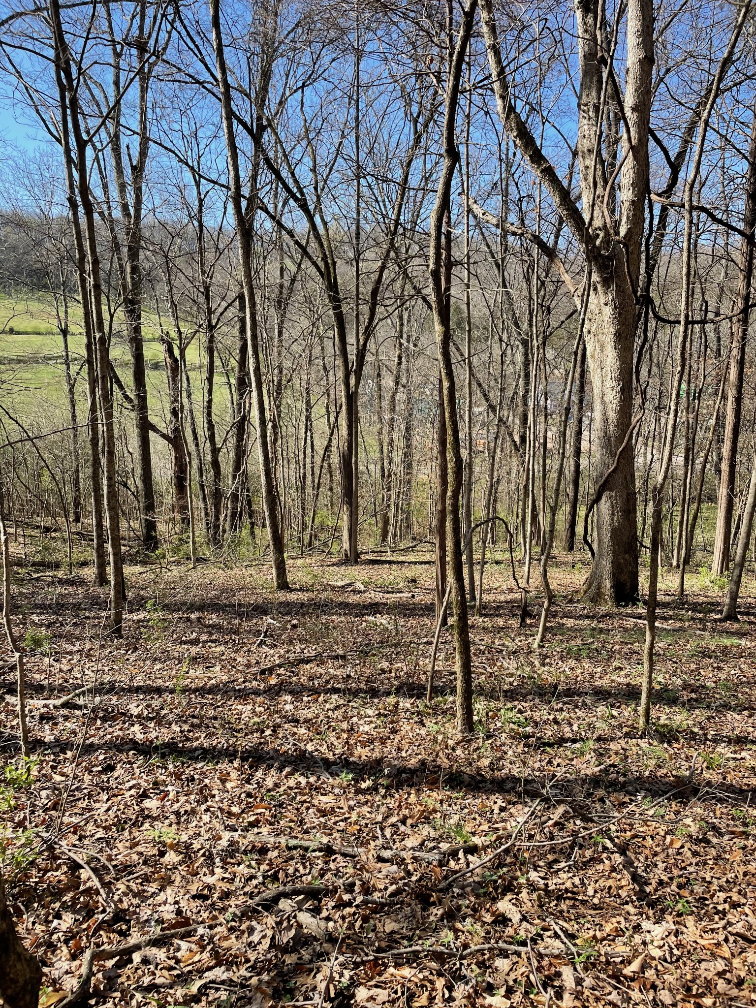 2057 Hillsboro Franklin TN 37069