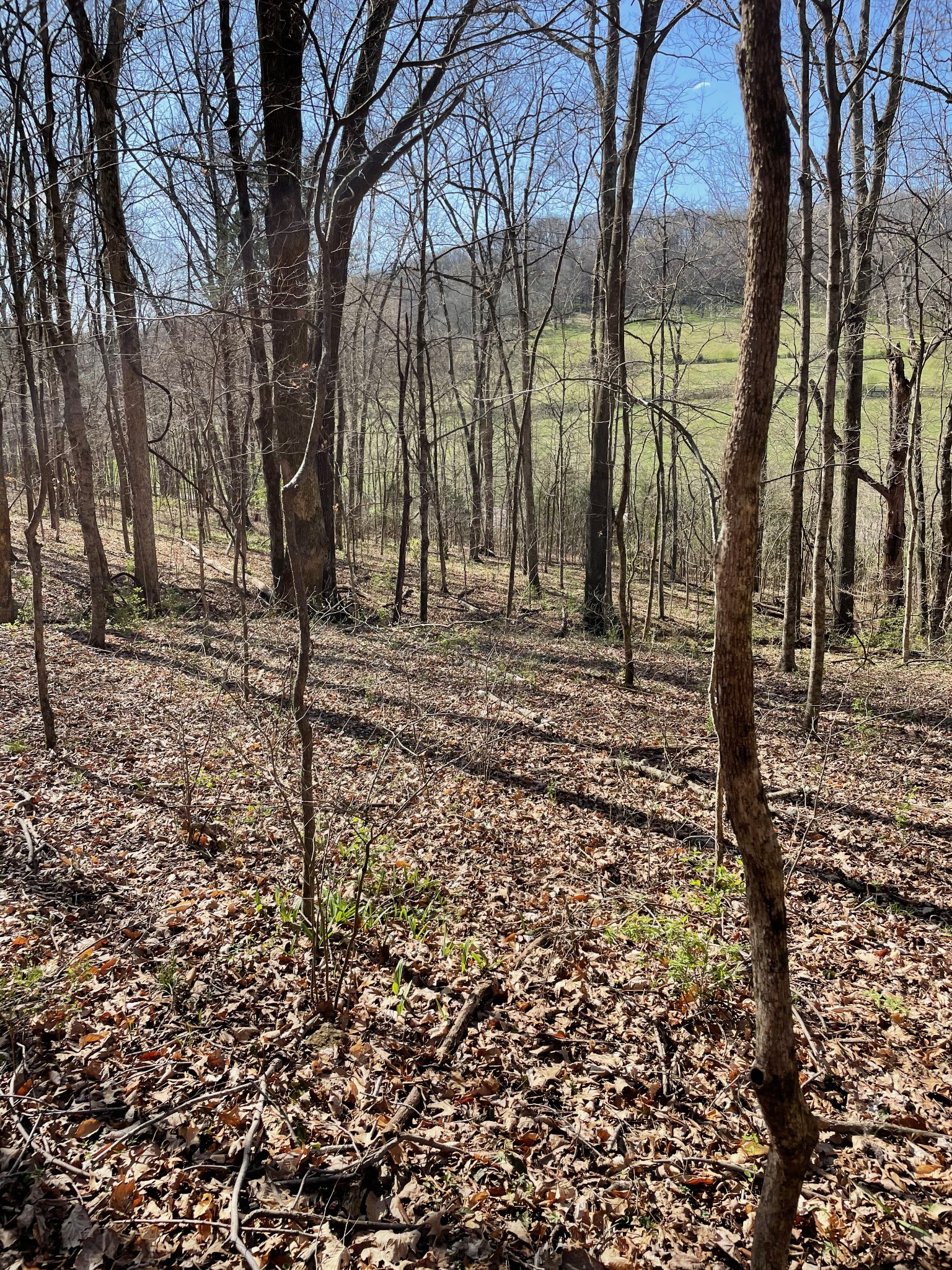 2057 Hillsboro Franklin TN 37069