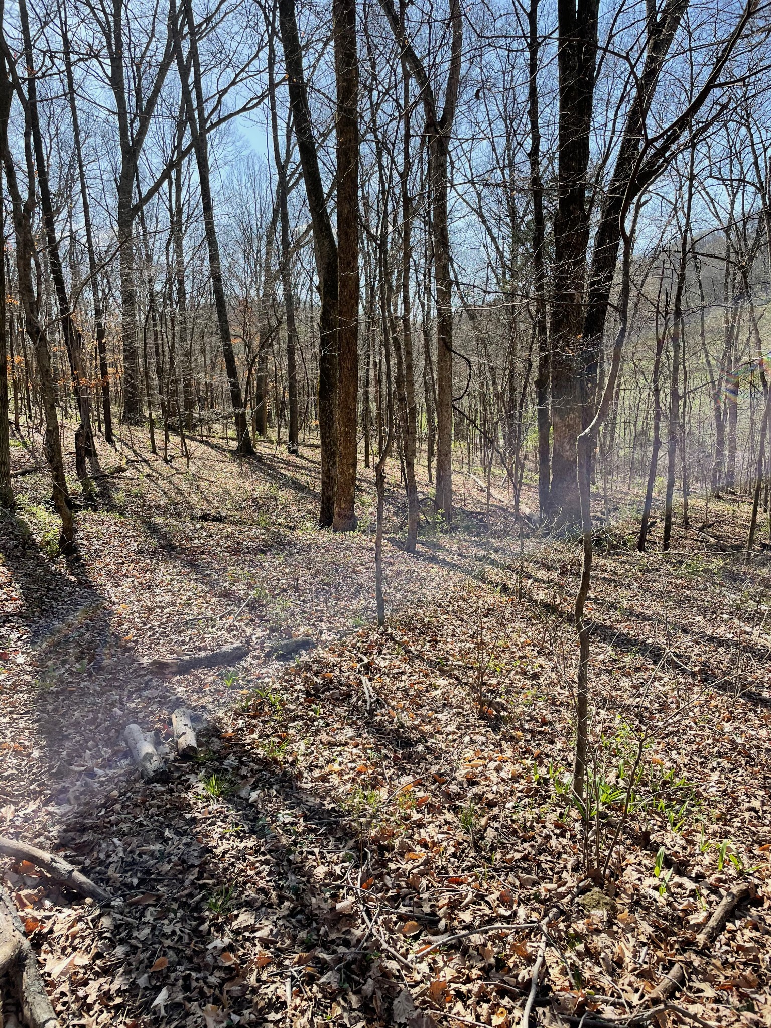 2057 Hillsboro Franklin TN 37069