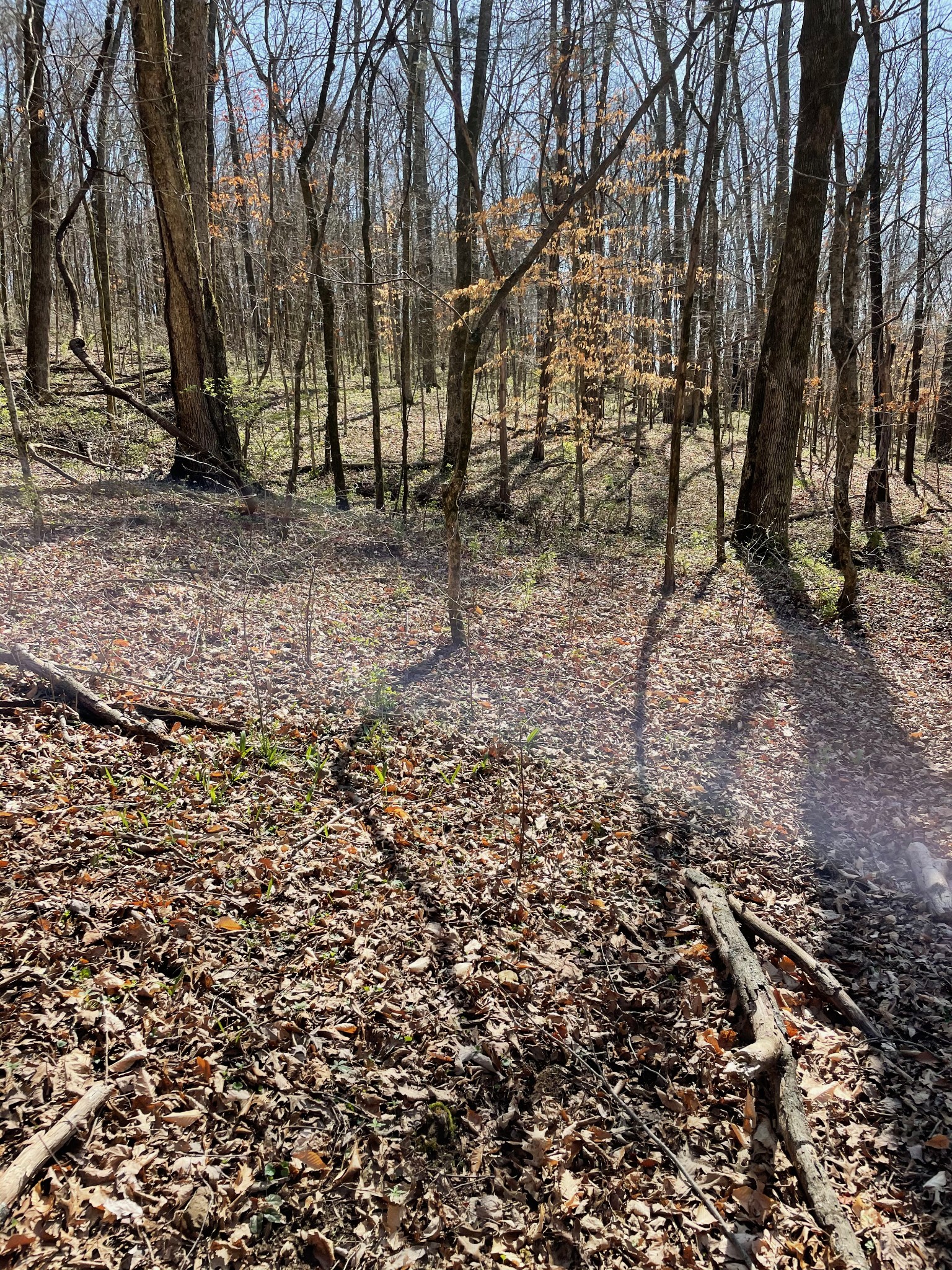 2057 Hillsboro Franklin TN 37069