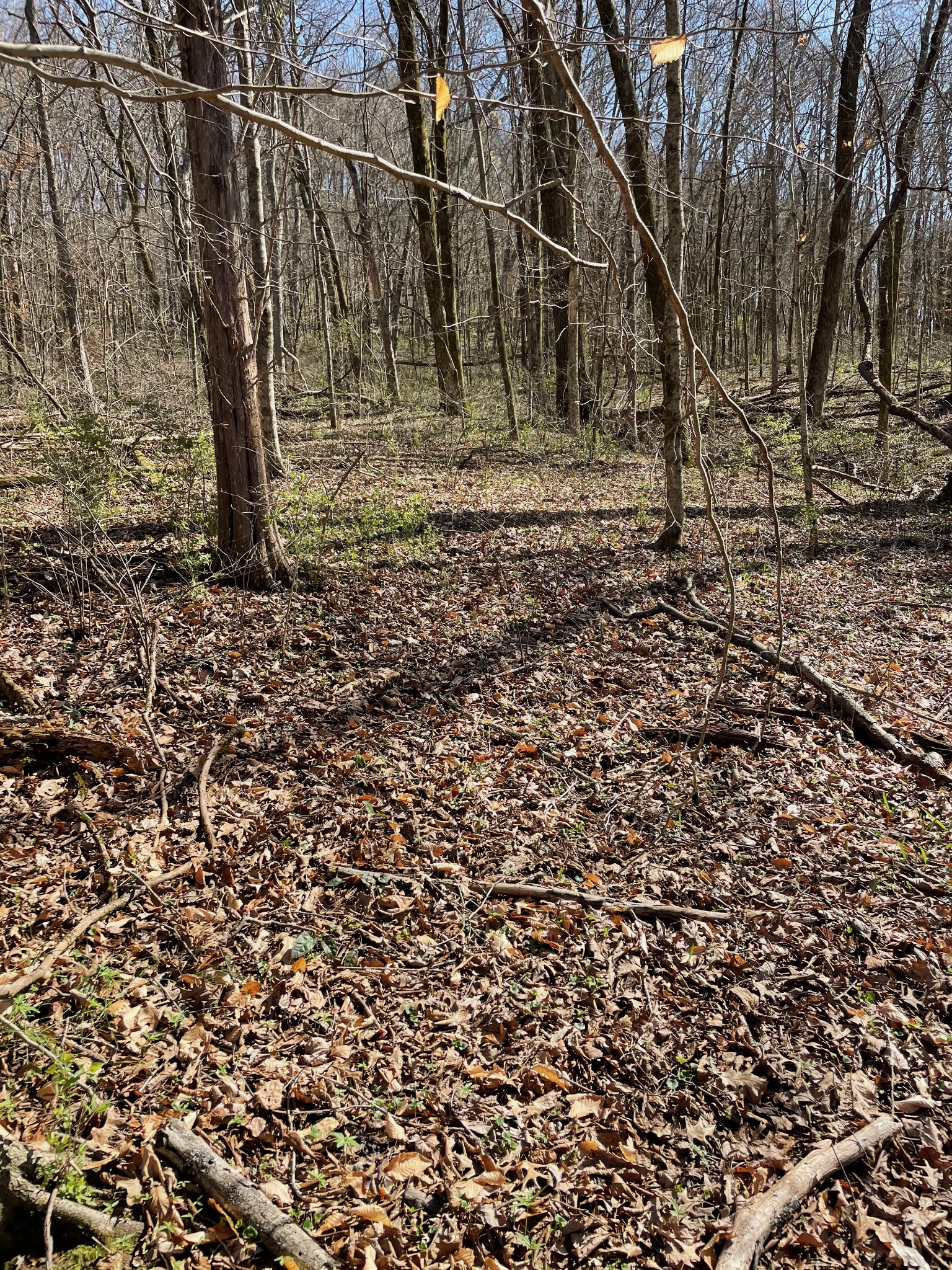 2057 Hillsboro Franklin TN 37069