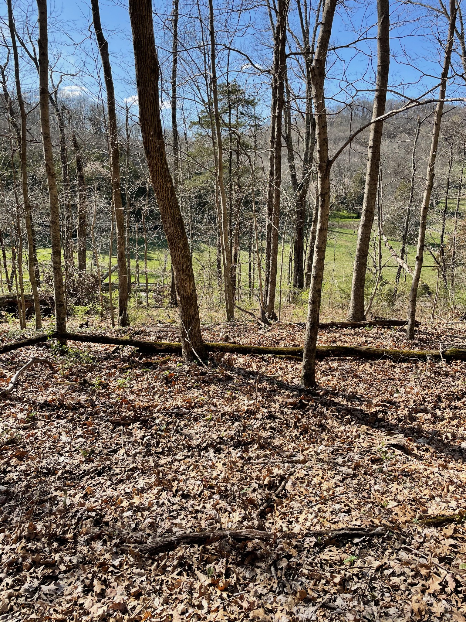 2057 Hillsboro Franklin TN 37069
