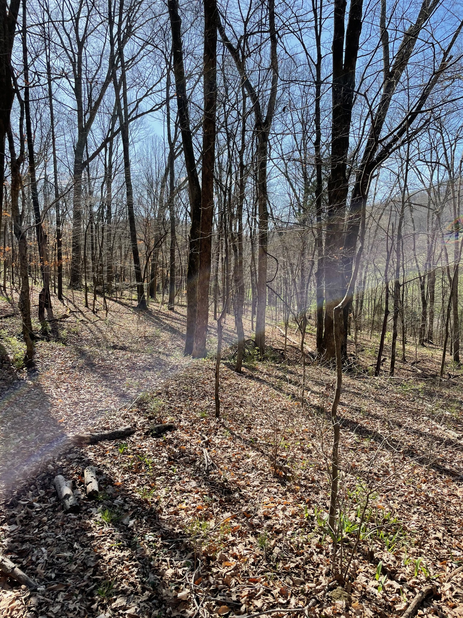 2057 Hillsboro Franklin TN 37069