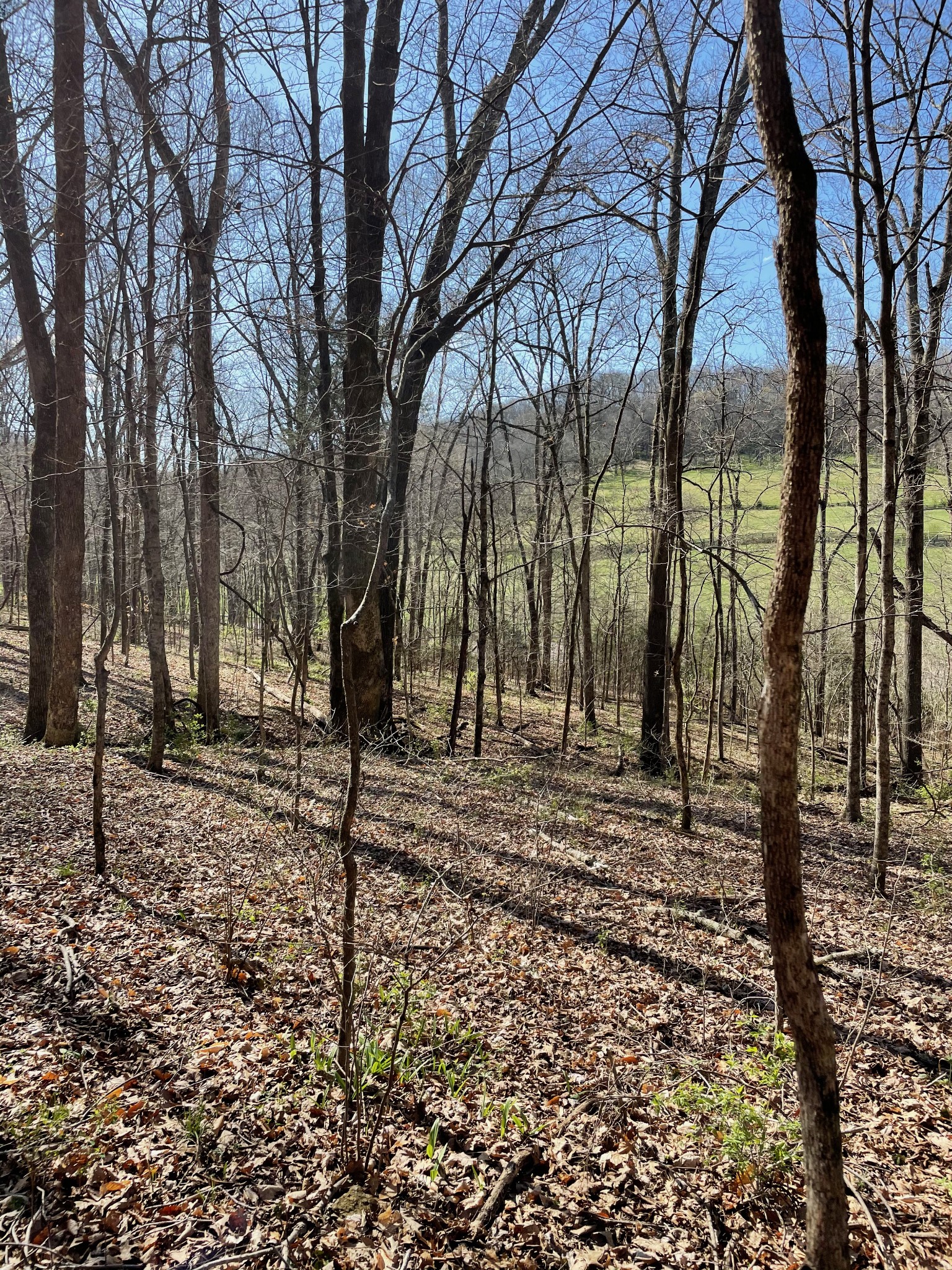 2057 Hillsboro Franklin TN 37069
