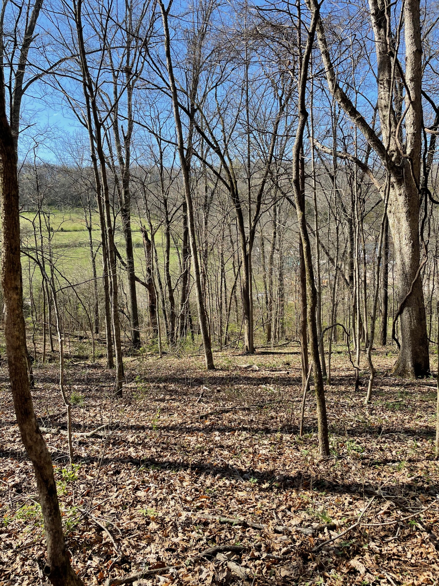 2057 Hillsboro Franklin TN 37069
