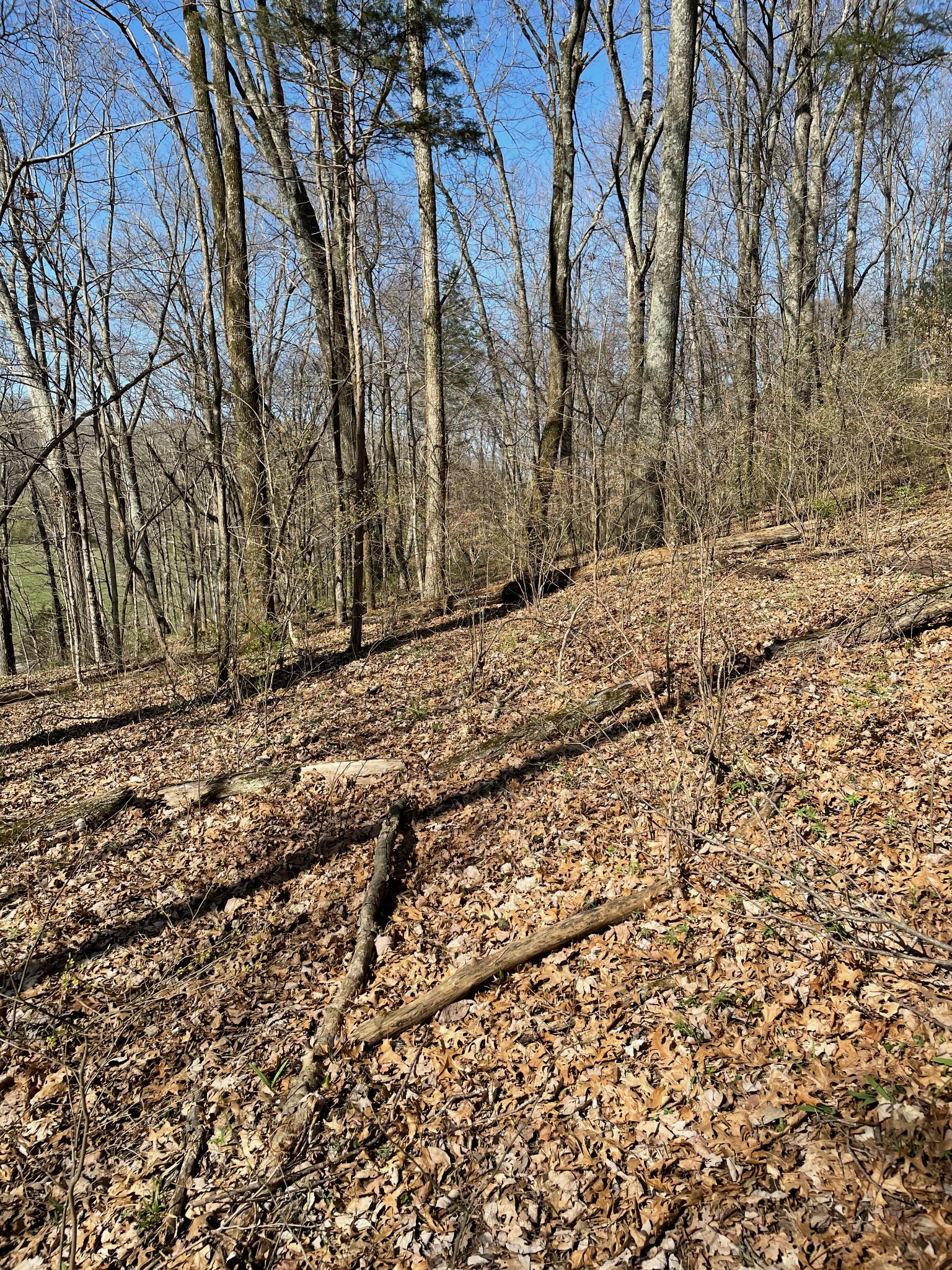 2057 Hillsboro Franklin TN 37069