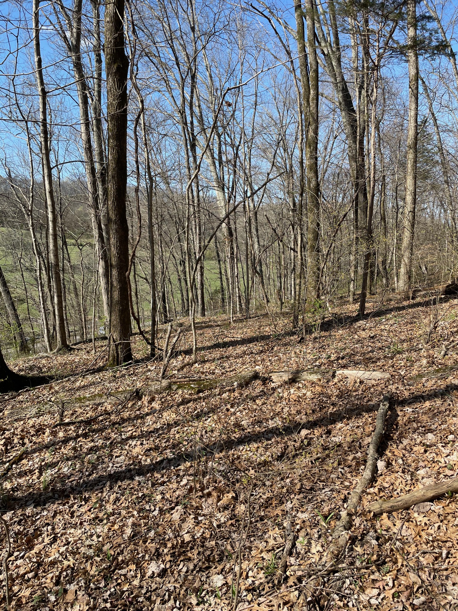 2057 Hillsboro Franklin TN 37069
