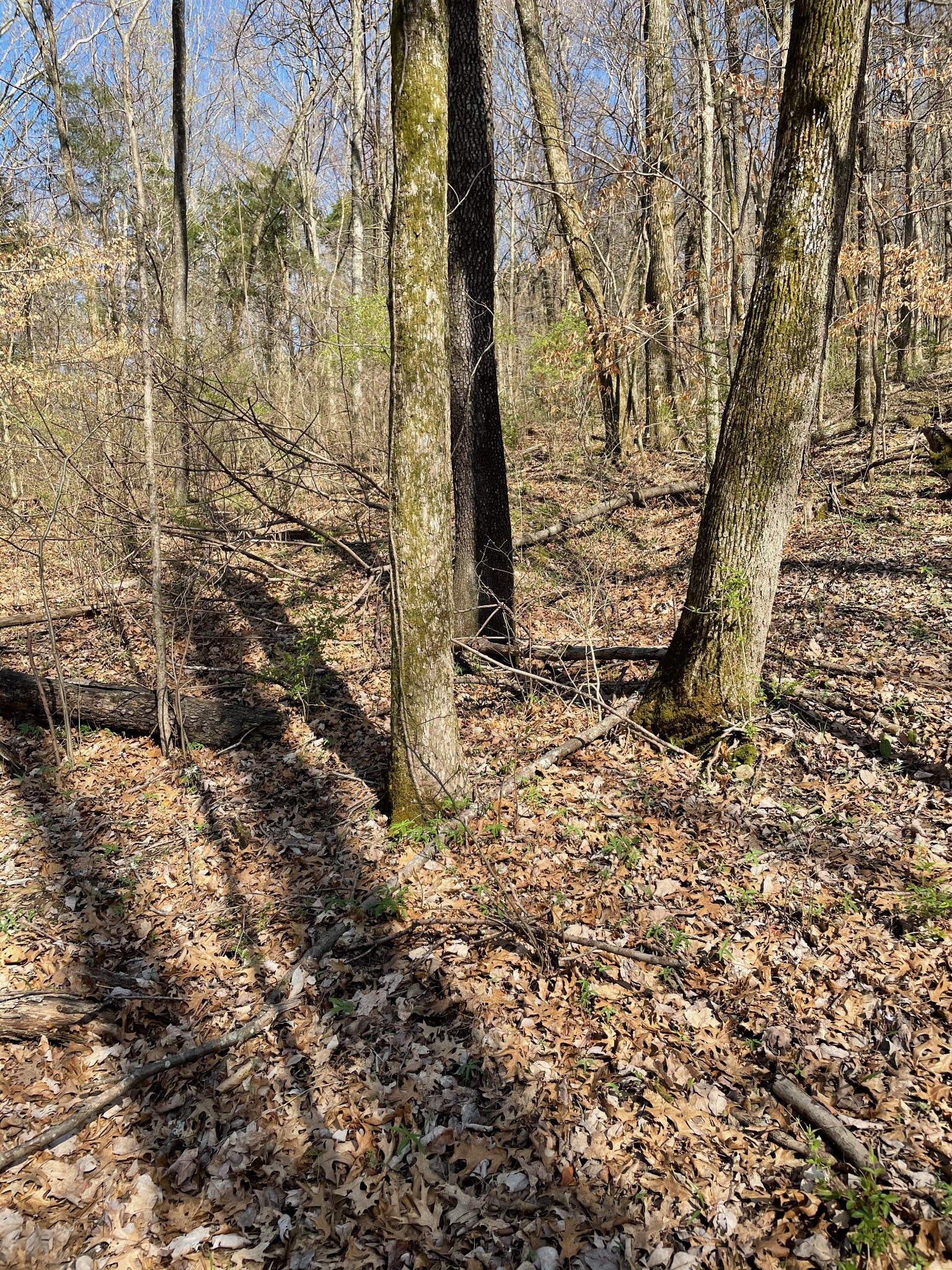 2057 Hillsboro Franklin TN 37069