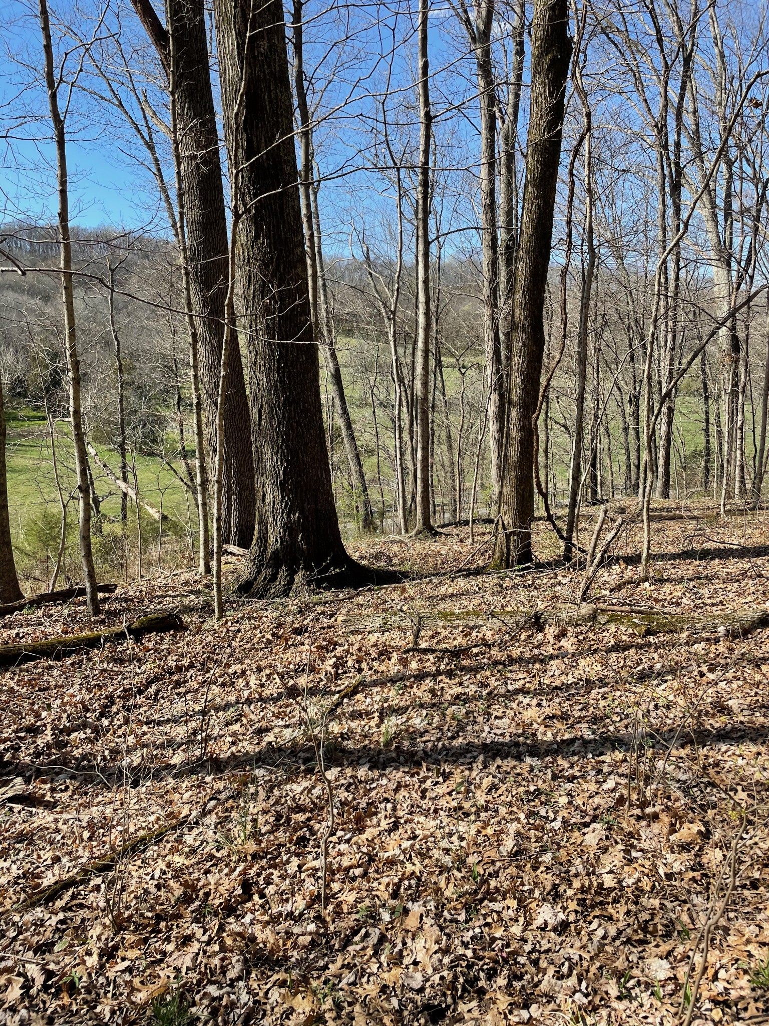 2057 Hillsboro Franklin TN 37069